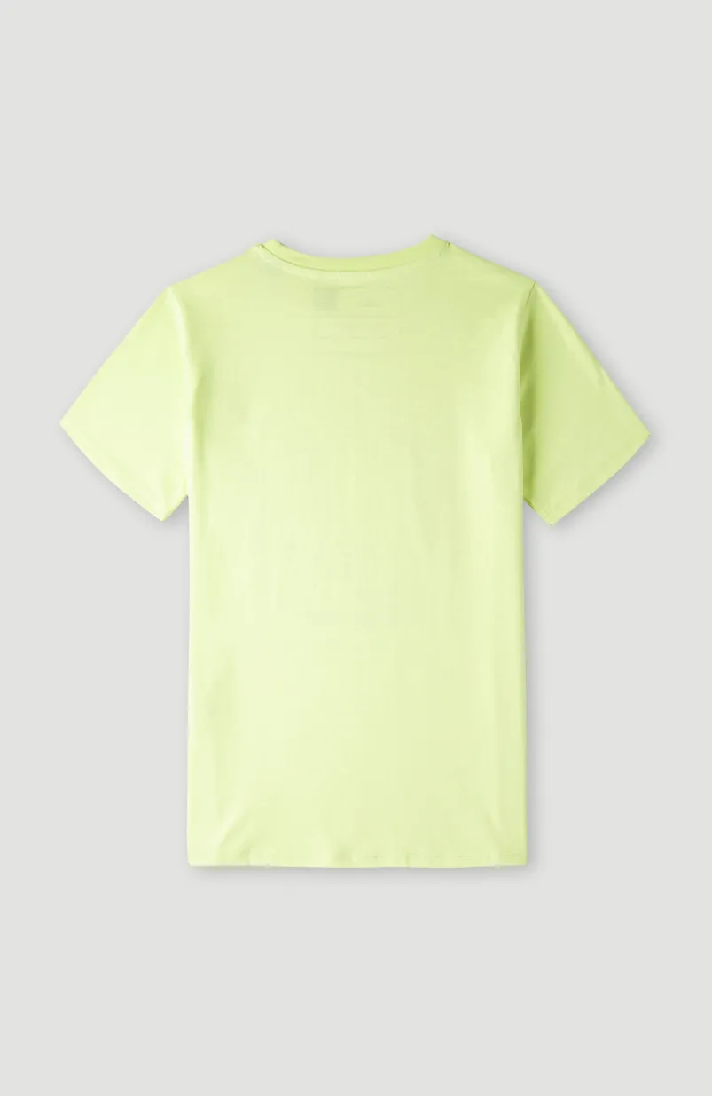 Blend T-shirt | Sunny Lime