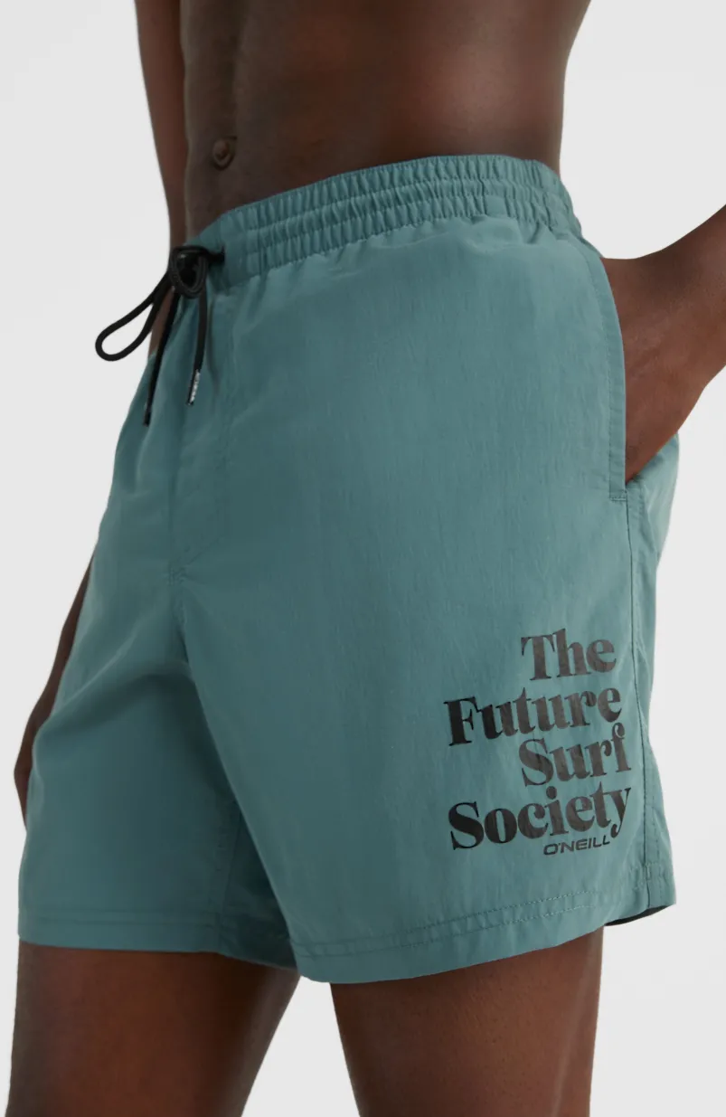 Cali FSS 16'' Zwemshort | North Atlantic