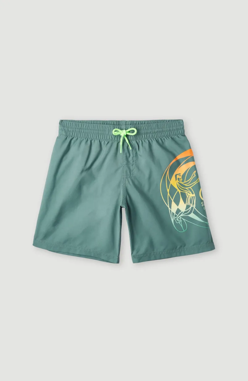 Circle Surfer 14" Zwemshort | North Atlantic Circle Surfer Gradient