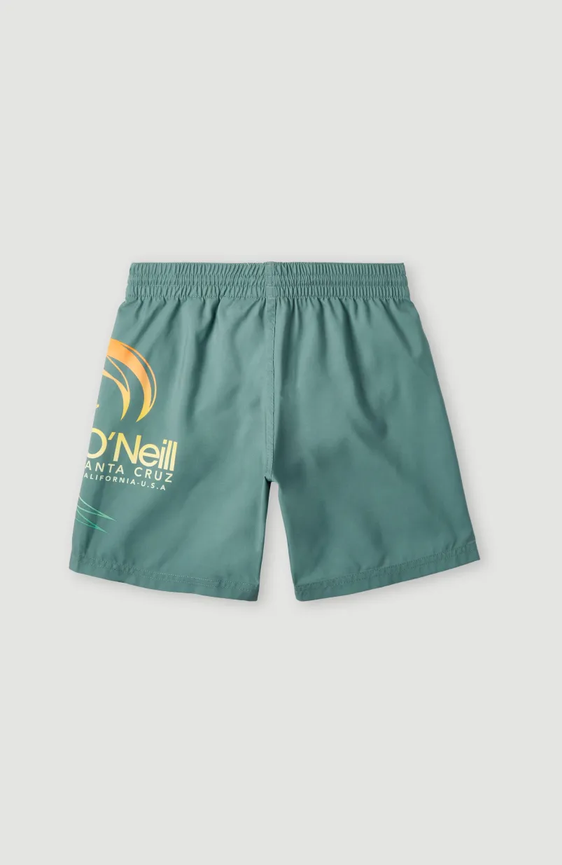 Circle Surfer 14" Zwemshort | North Atlantic Circle Surfer Gradient
