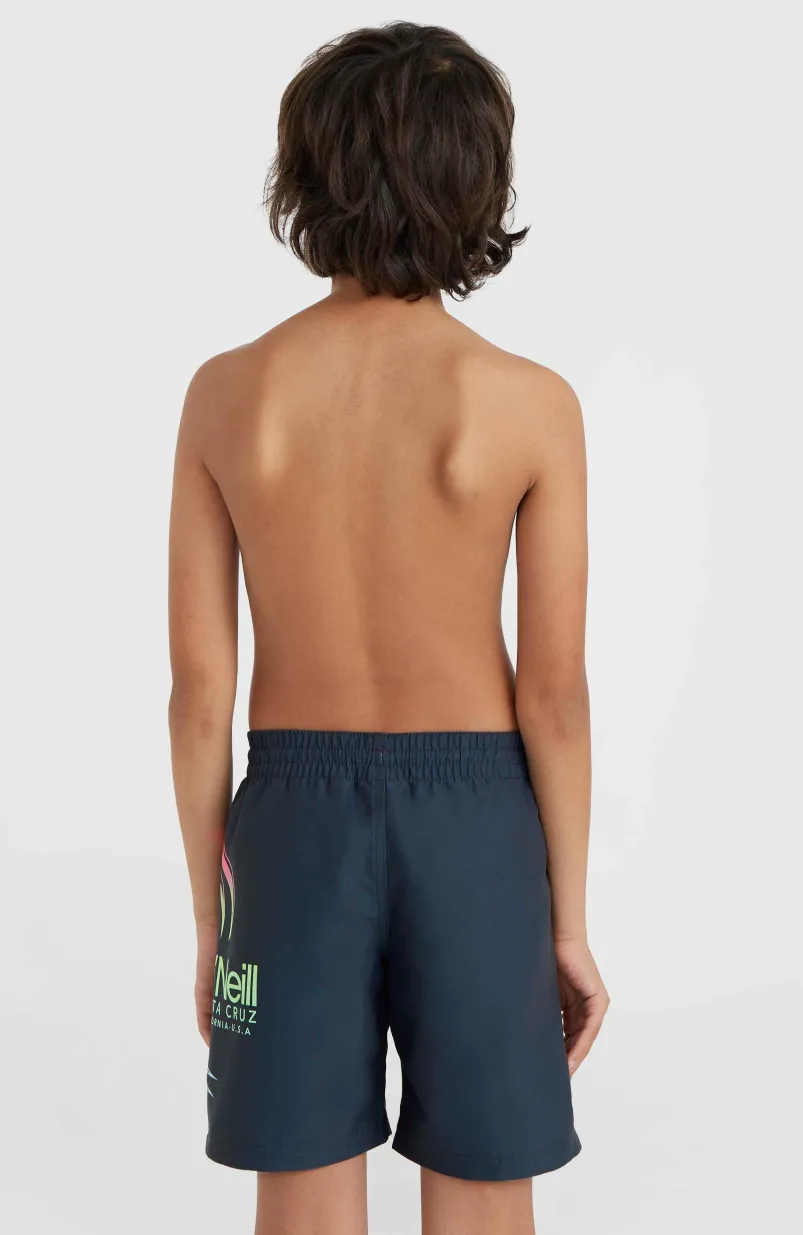 Circle Surfer 14" Zwembroek | Outer Space Circle Surfer Grandient Panel