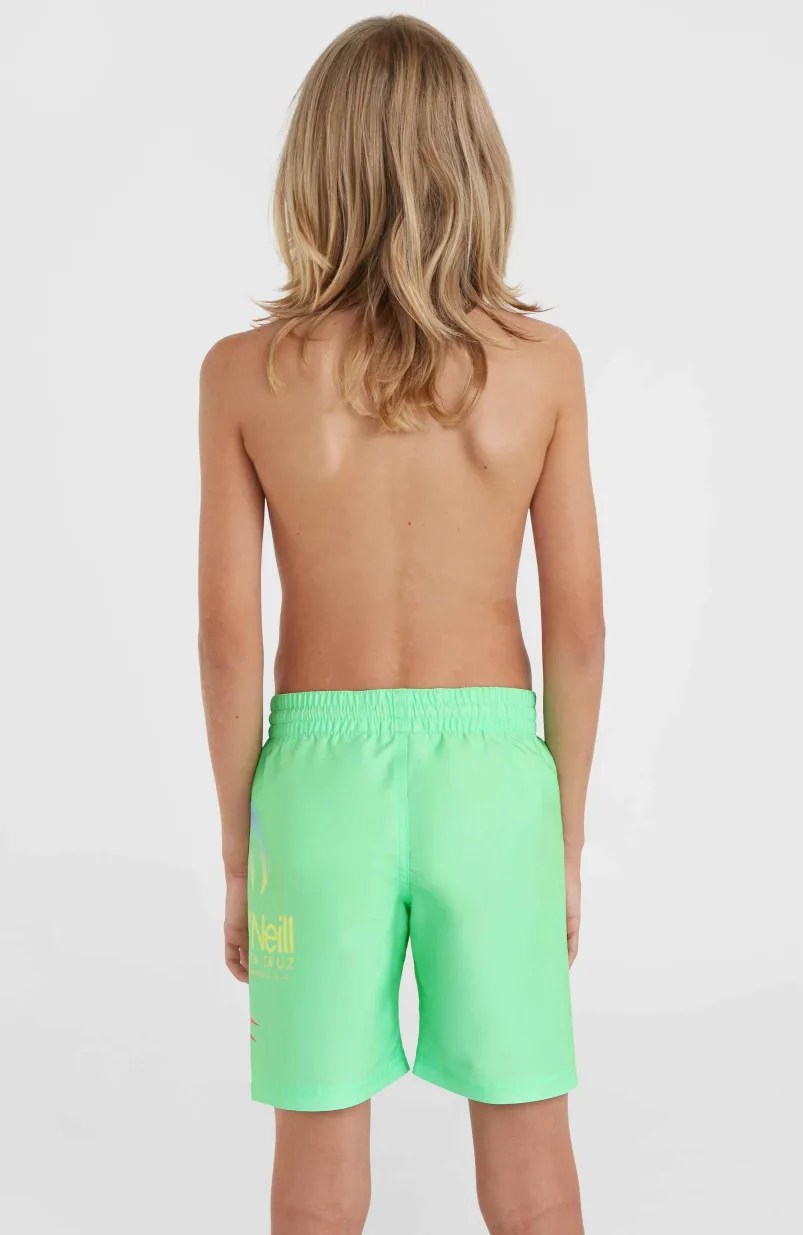 Circle Surfer 14" Zwembroek | Neon Green Circle Surfer Gradient Panel