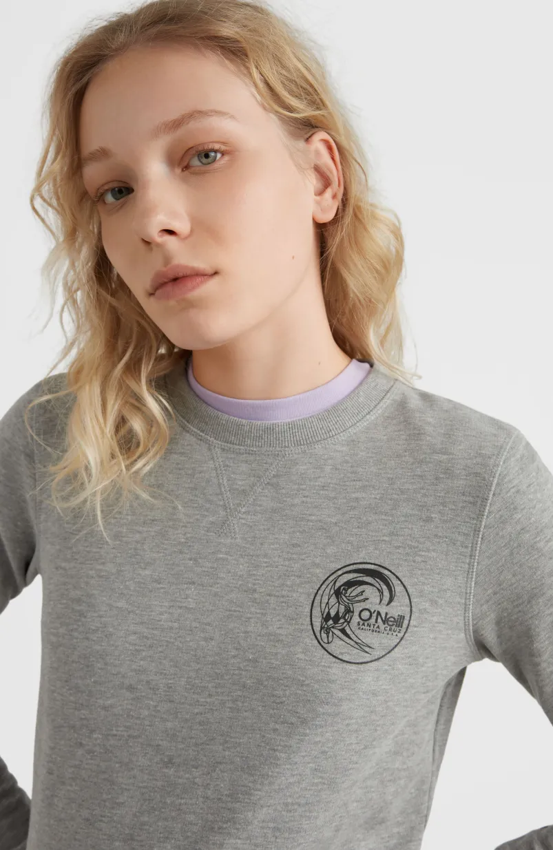 Circle Surfer Crew Sweatshirt | Silver Melee