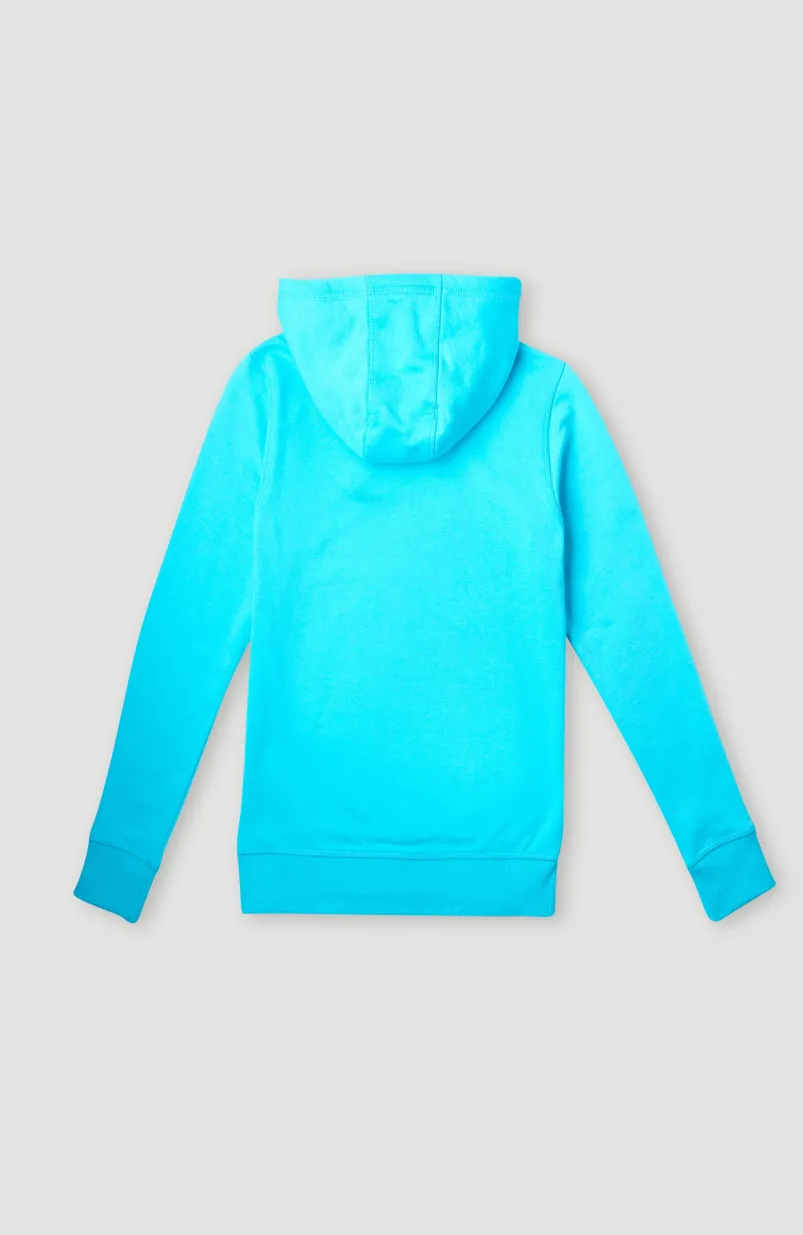 Circle Surfer Hoodie | Bachelor Button