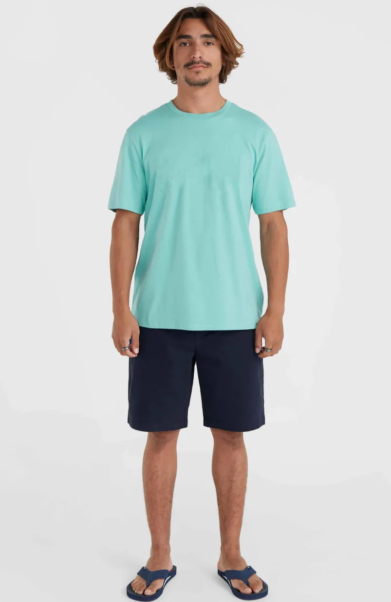 Essentials Chinoshort | Outer Space