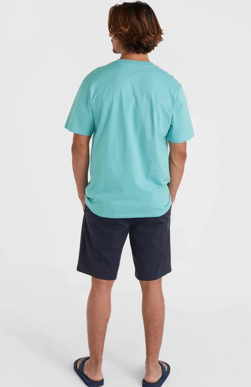 Essentials Chinoshort | Outer Space