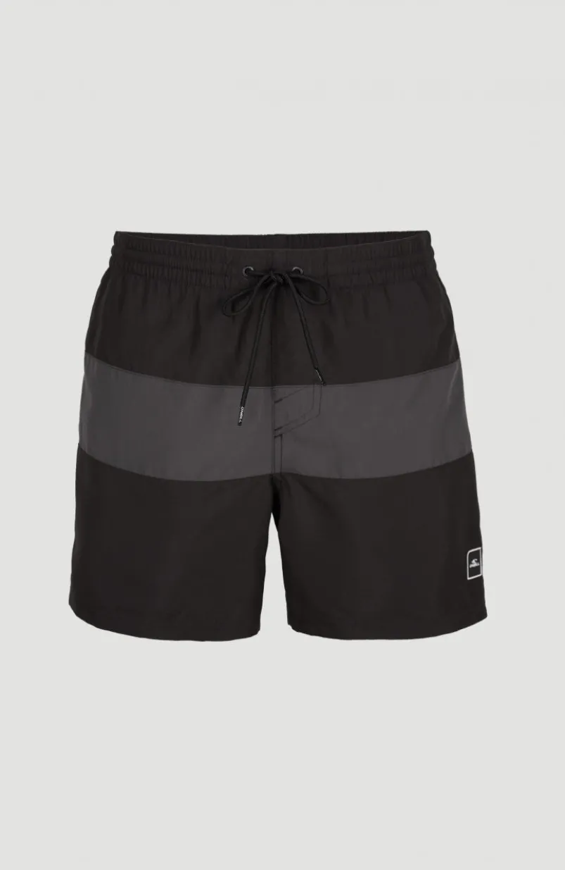Frame Block Swim Short | Black Multi 6