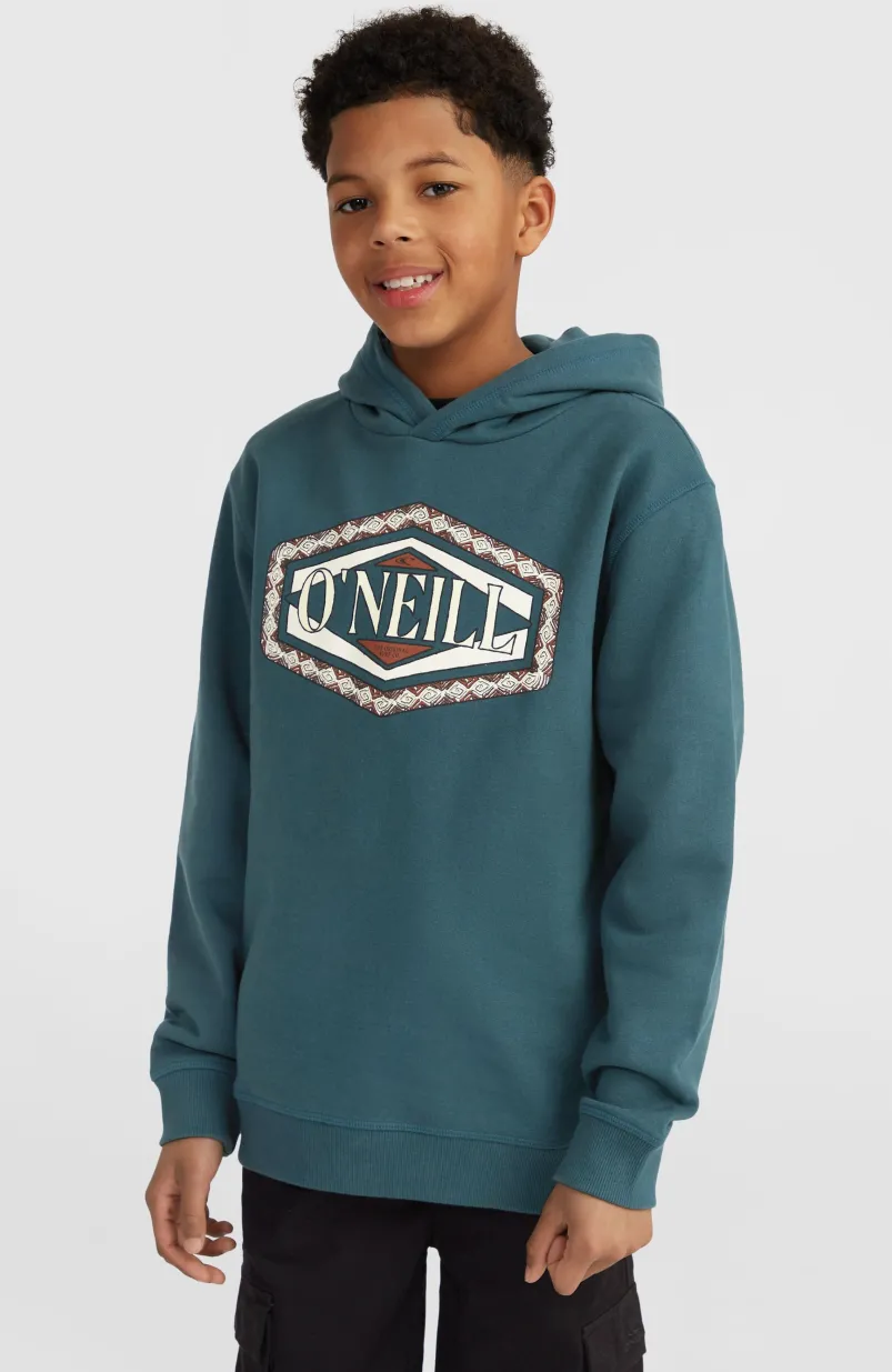 Front Print Hoodie | Alma Steel