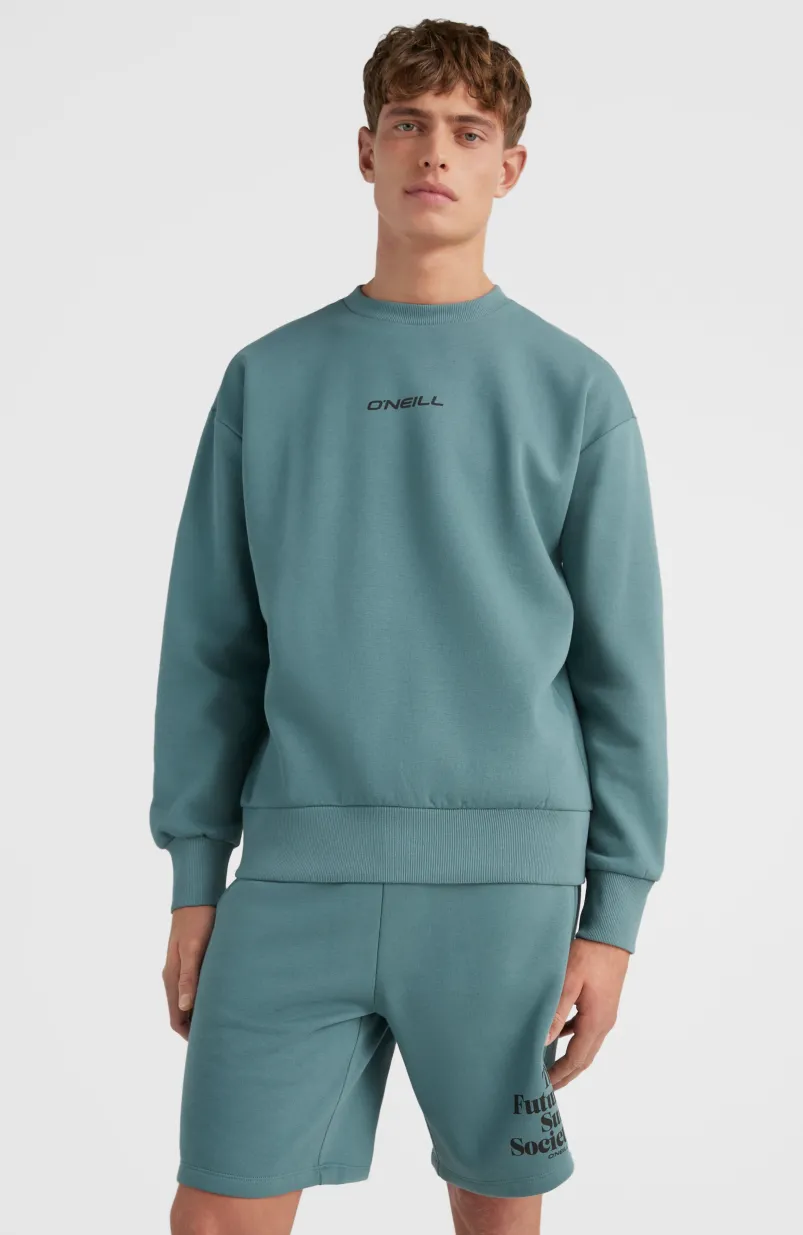 Future Surf Crew Sweatshirt | North Atlantic