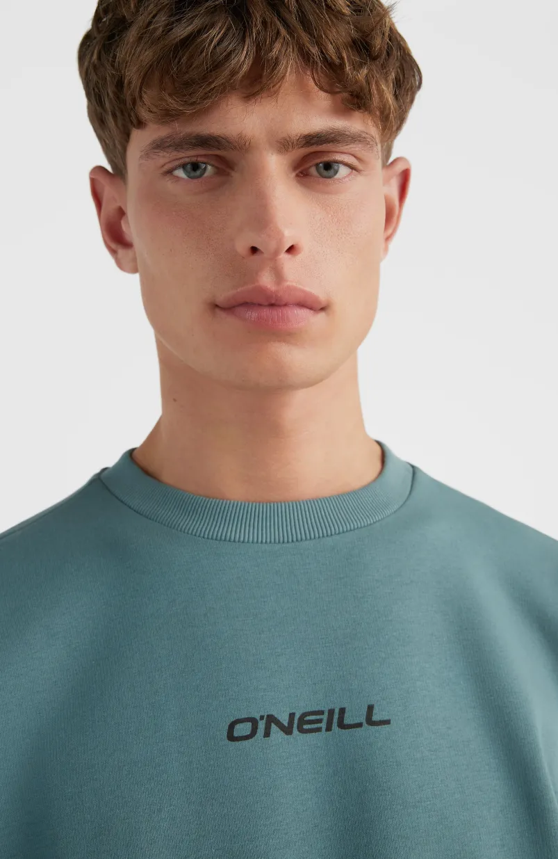 Future Surf Crew Sweatshirt | North Atlantic