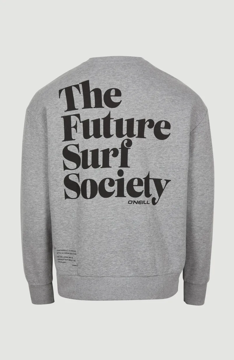 Future Surf Crew Sweatshirt | Silver Melee