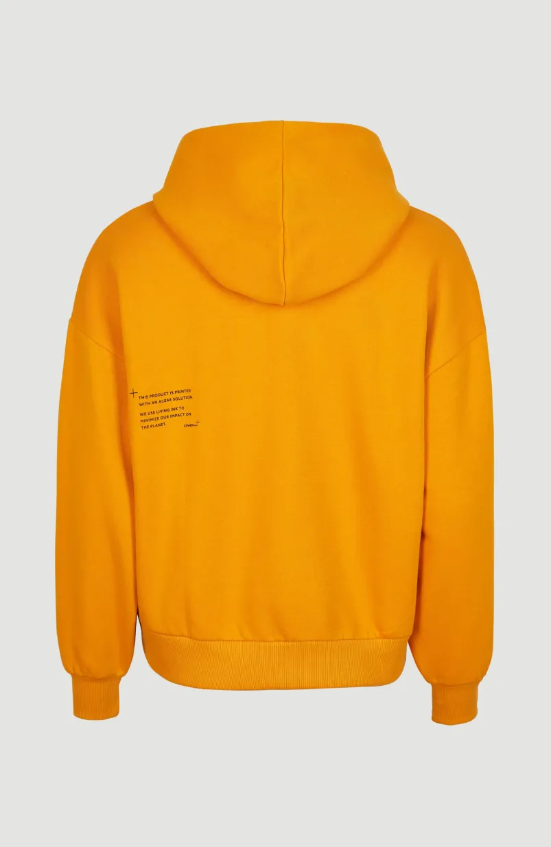 Future Surf Hoodie | Nugget