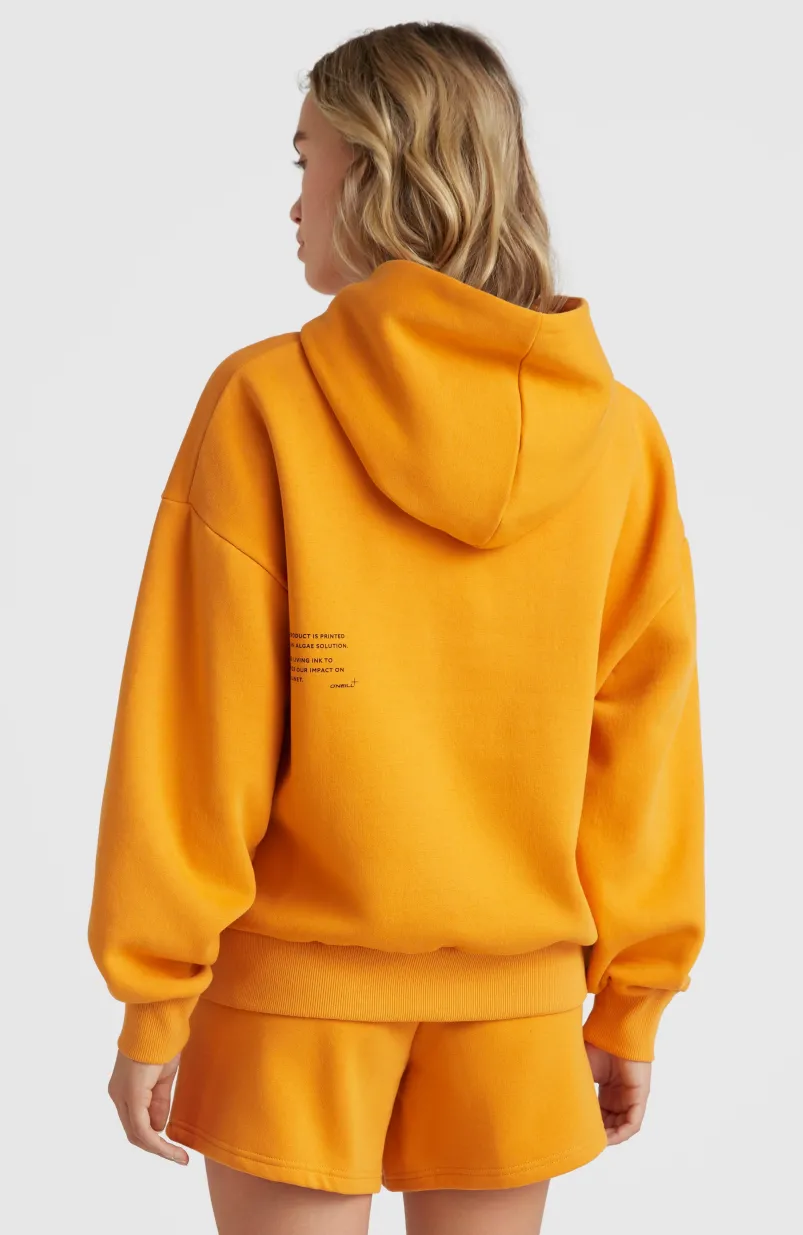 Future Surf Hoodie | Nugget
