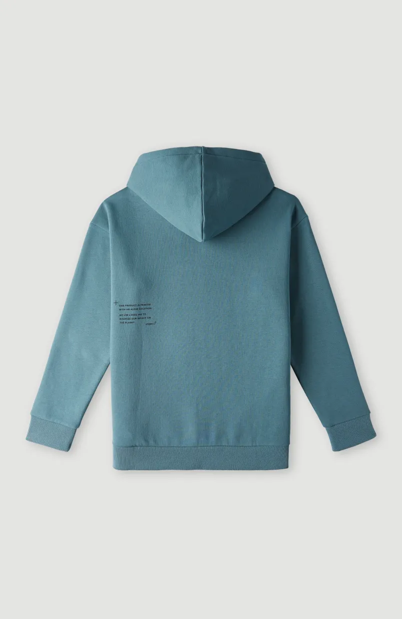 Future Surf Hoodie | North Atlantic