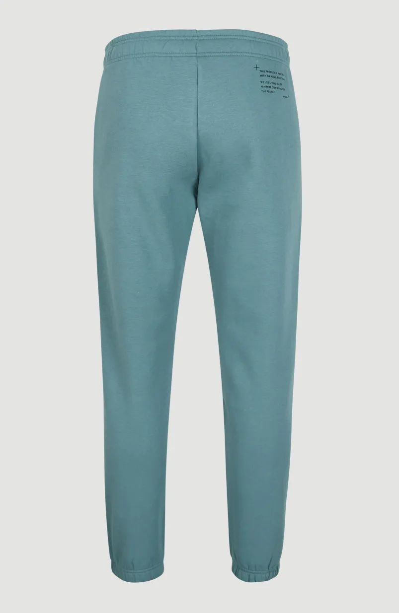 Future Surf Joggingbroek | North Atlantic