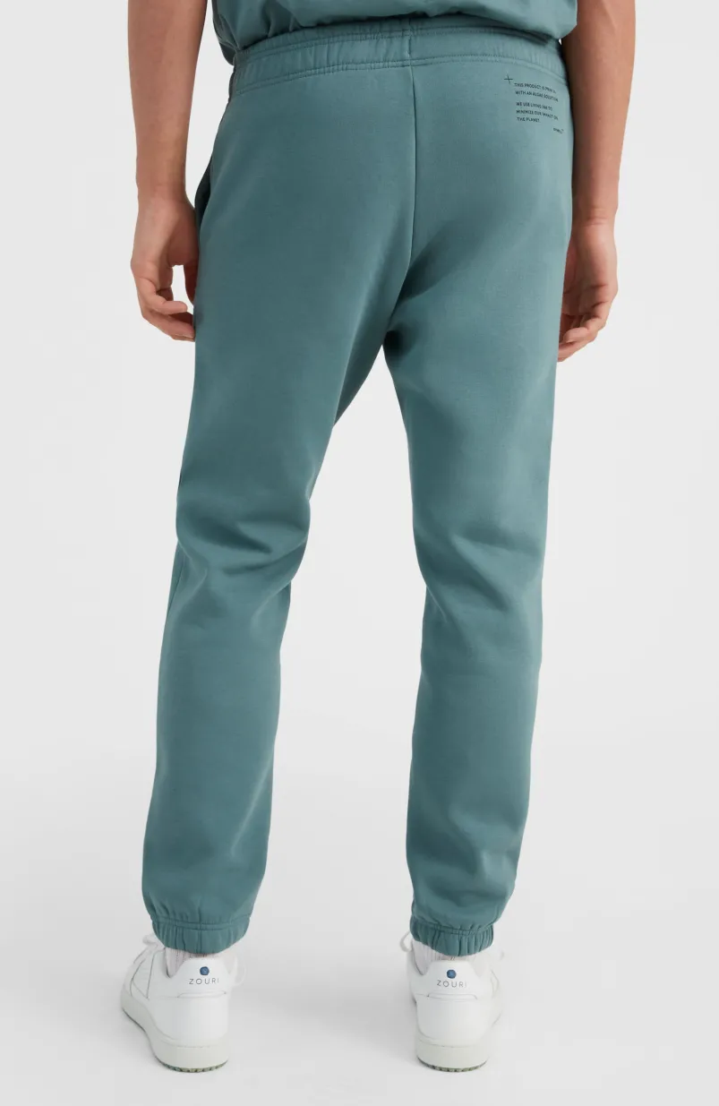 Future Surf Joggingbroek | North Atlantic