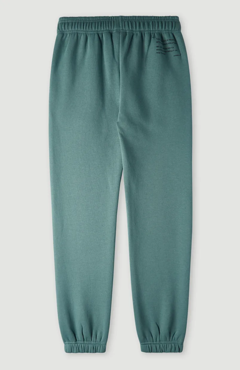 Future Surf Joggingbroek | North Atlantic