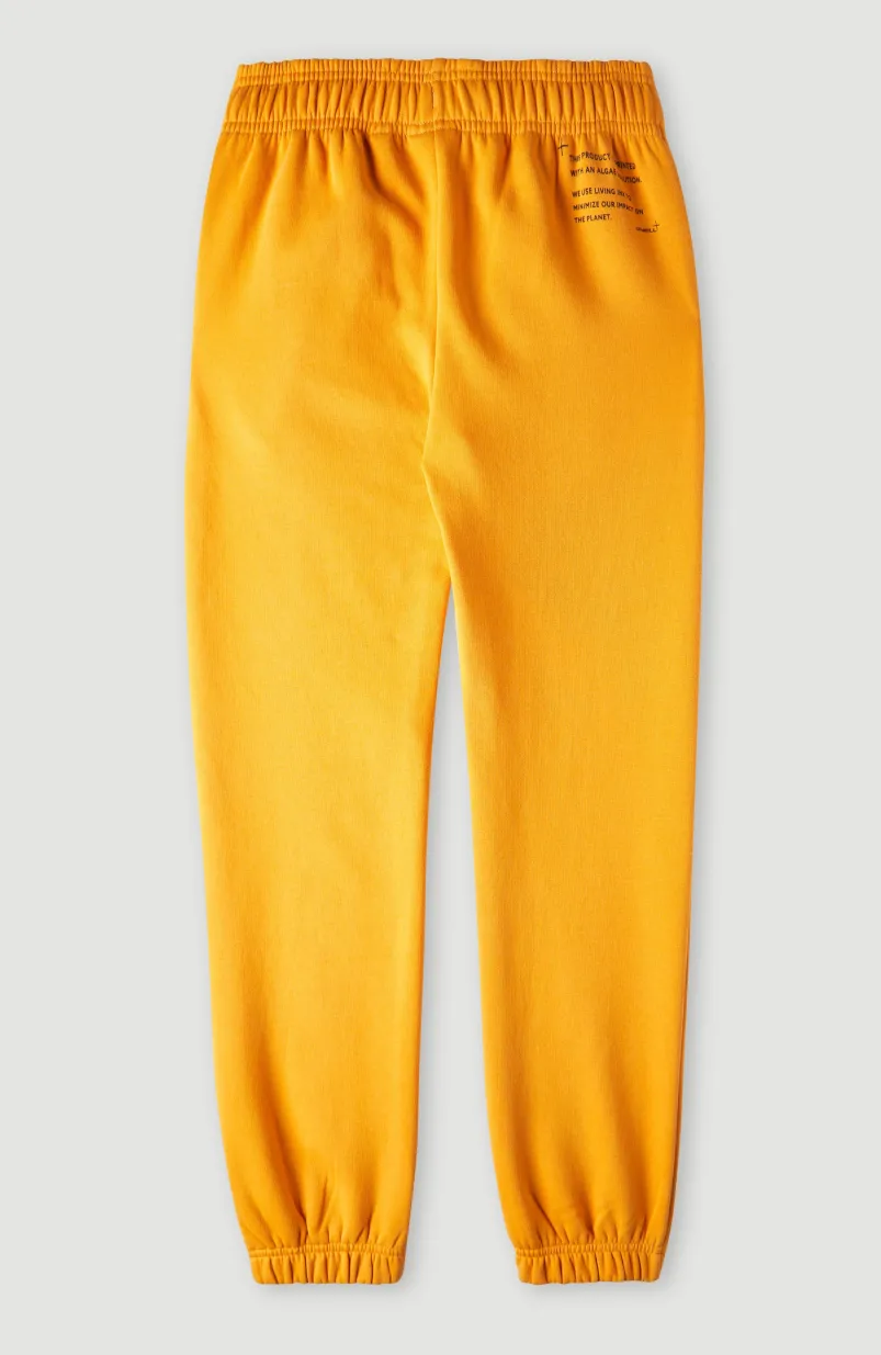 Future Surf Joggingbroek | Nugget