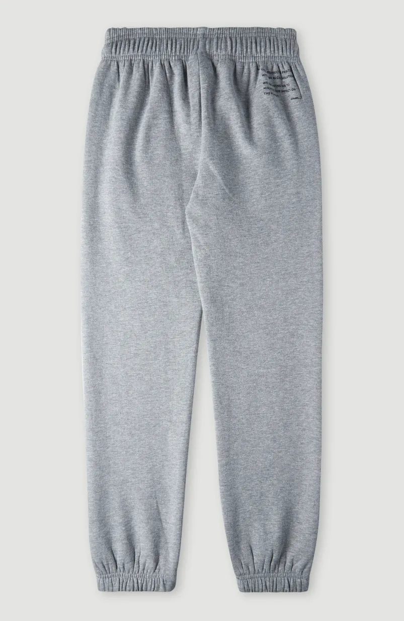 Future Surf Joggingbroek | Silver Melee