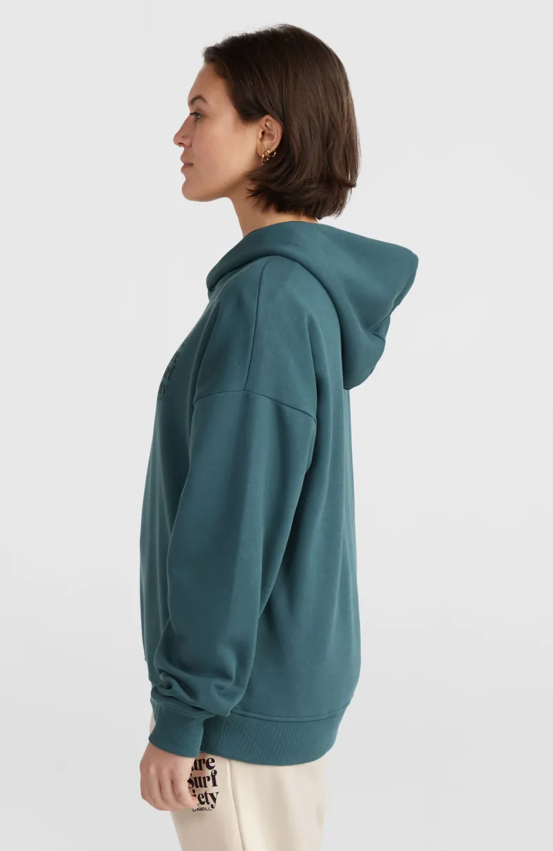 Future Surf Society Hoodie | Alma Steel