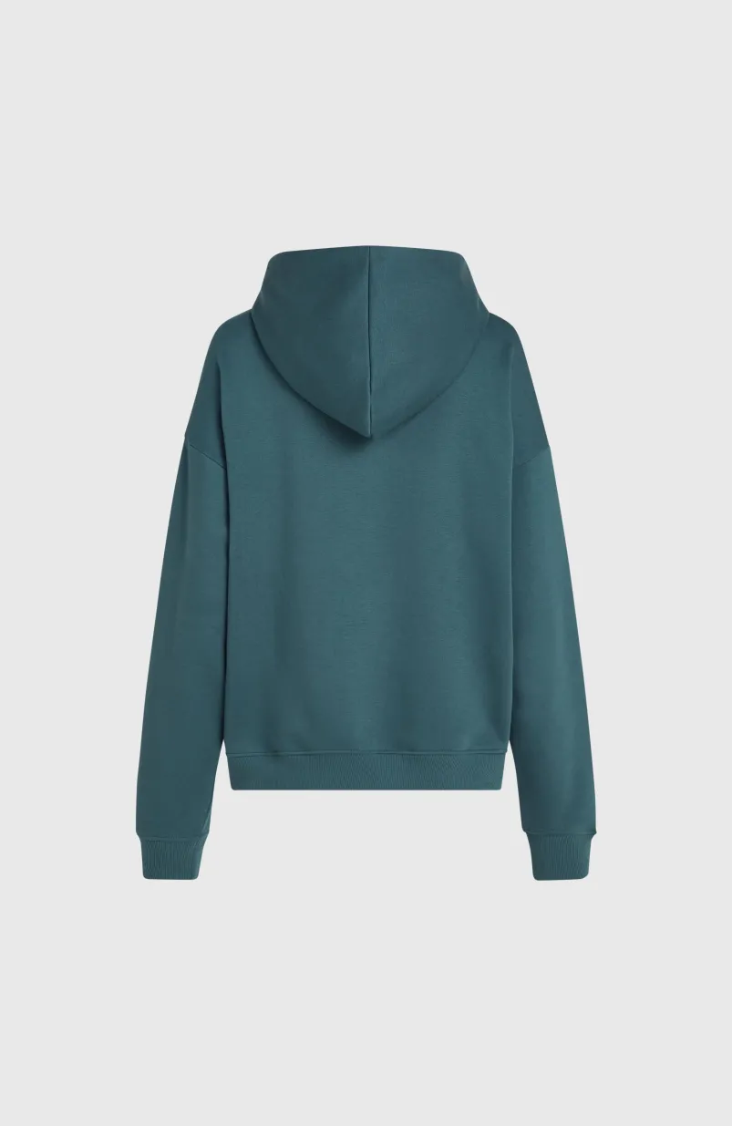 Future Surf Society Hoodie | Alma Steel