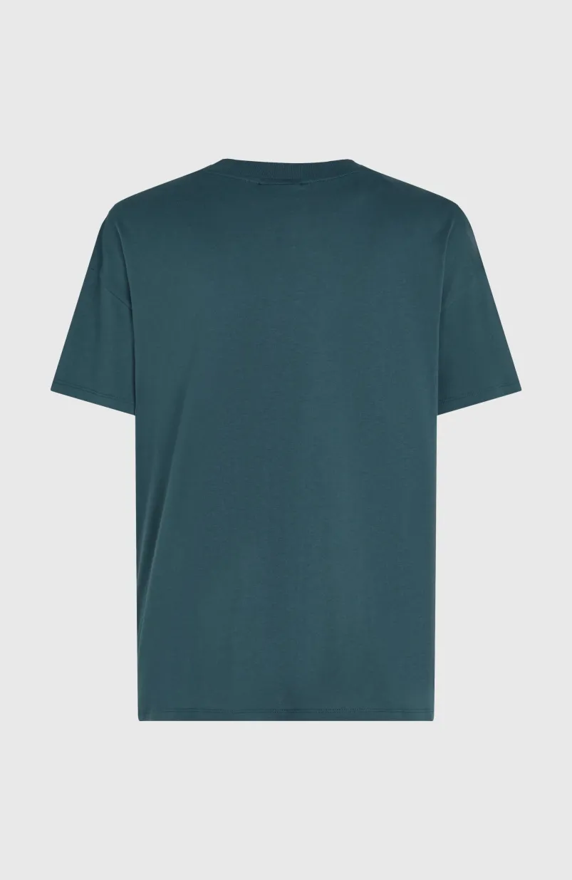 Future Surf Society T-shirt | Alma Steel