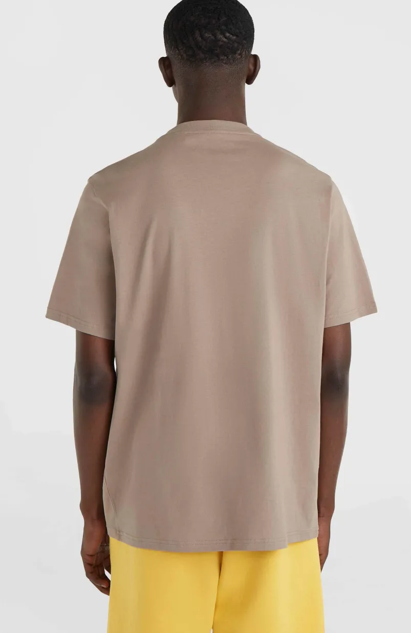 Future Surf Society T-shirt | Pumpkin Smoke