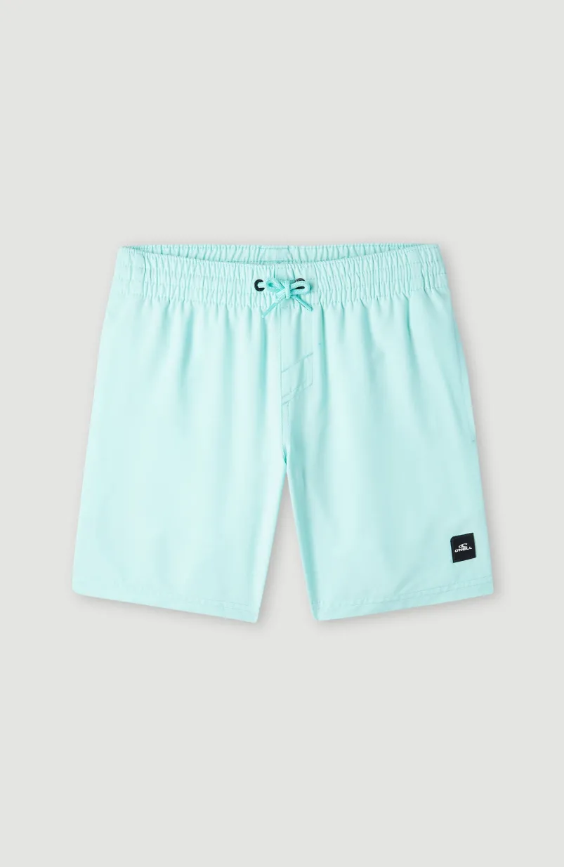 Future Surf Society 14'' Zwemshort | Beach Glass