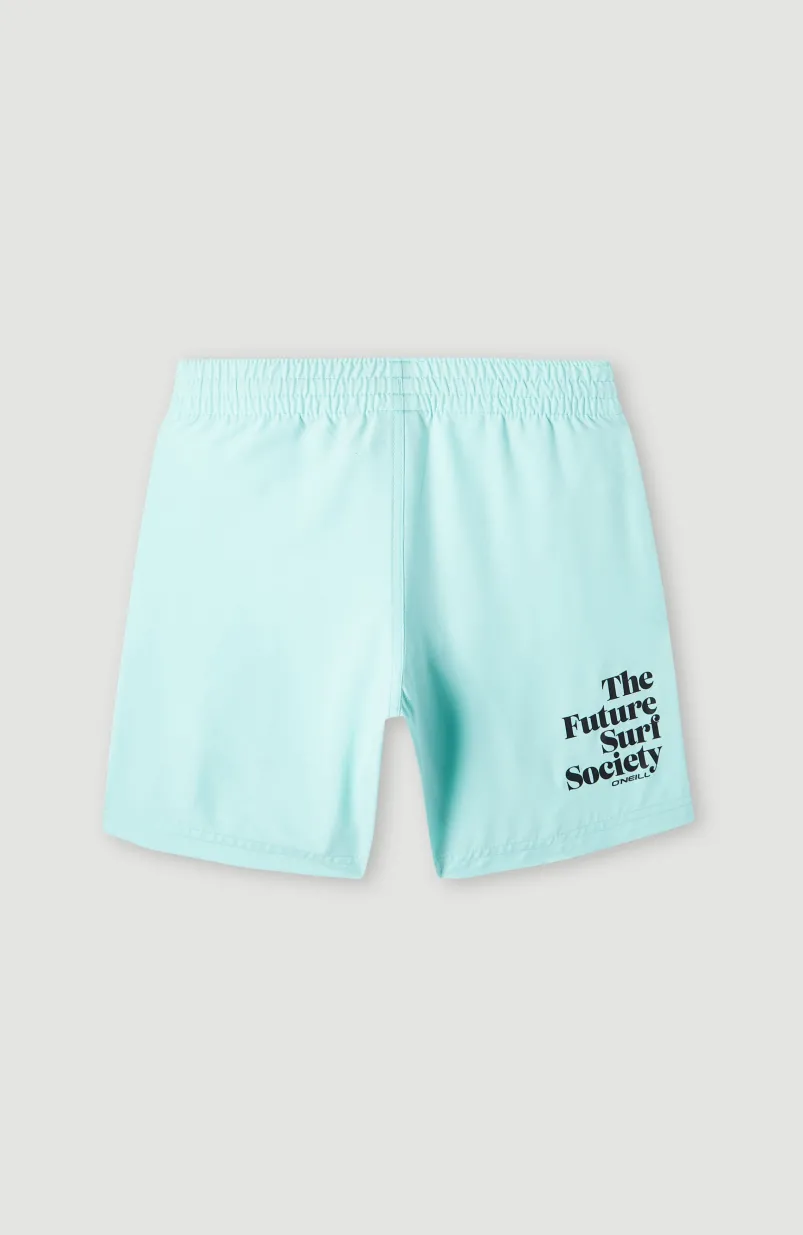 Future Surf Society 14'' Zwemshort | Beach Glass