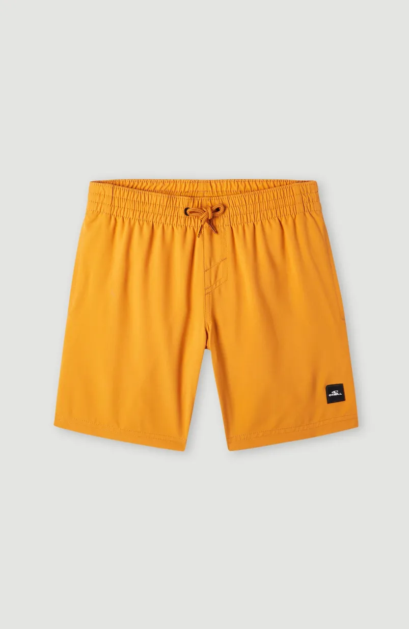 Future Surf Society 14'' Zwemshort | Nugget