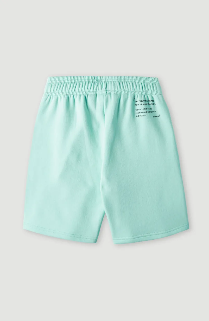 Future Surfshort | Beach Glass