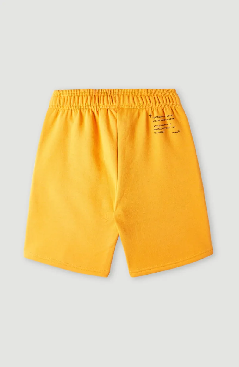 Future Surfshort | Nugget