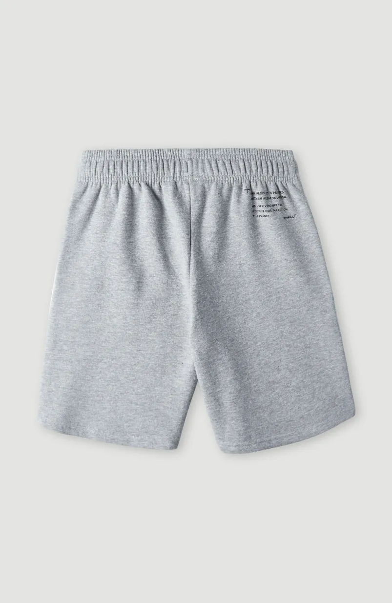 Future Surfshort | Silver Melee