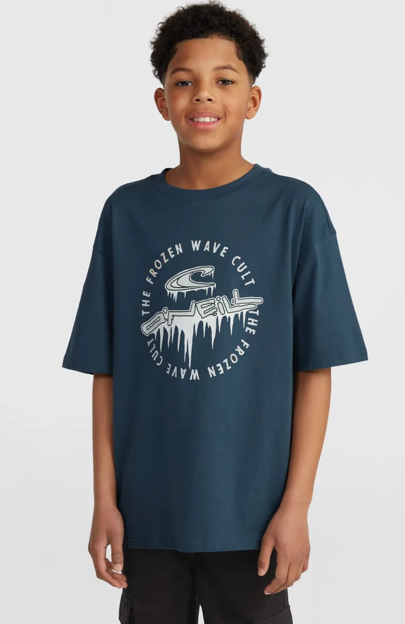 Graphic T-shirt | Alma Steel