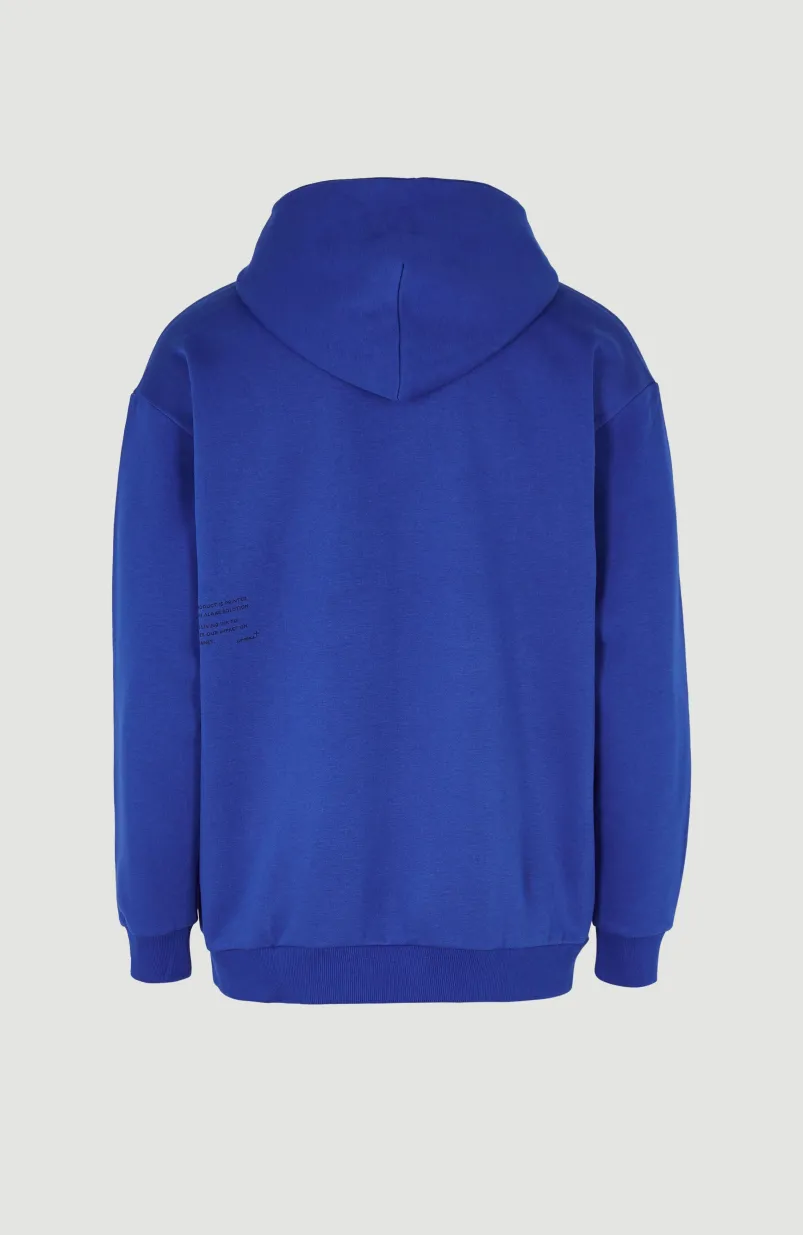 Hoodie Future Surf Society | Surf The Web Blue