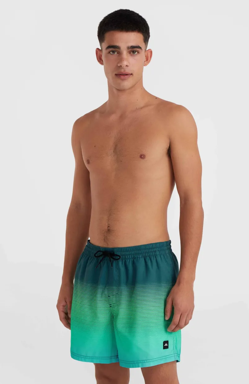 Jack O'Neill Cali Gradient 15" Zwembroek | Beetle Juice Simple Gradient Panel