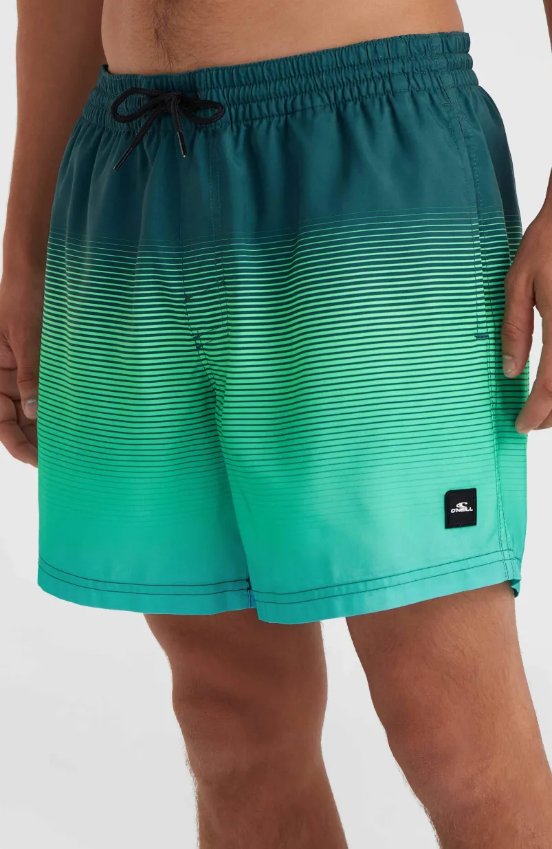 Jack O'Neill Cali Gradient 15" Zwembroek | Beetle Juice Simple Gradient Panel