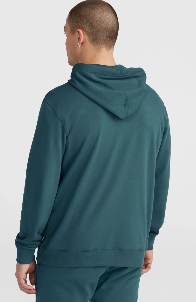 Logo Hoodie | Alma Steel