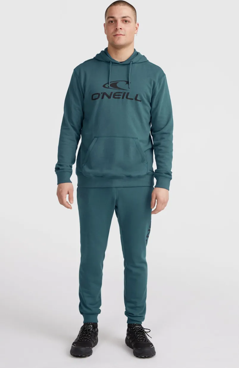 Logo Hoodie | Alma Steel