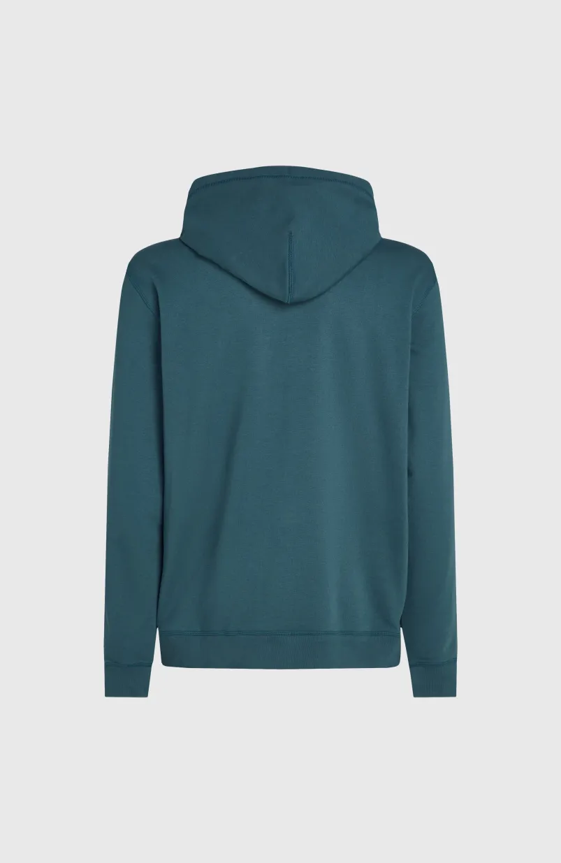 Logo Hoodie | Alma Steel