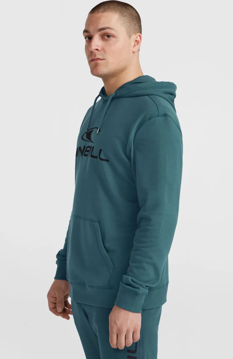 Logo Hoodie | Alma Steel