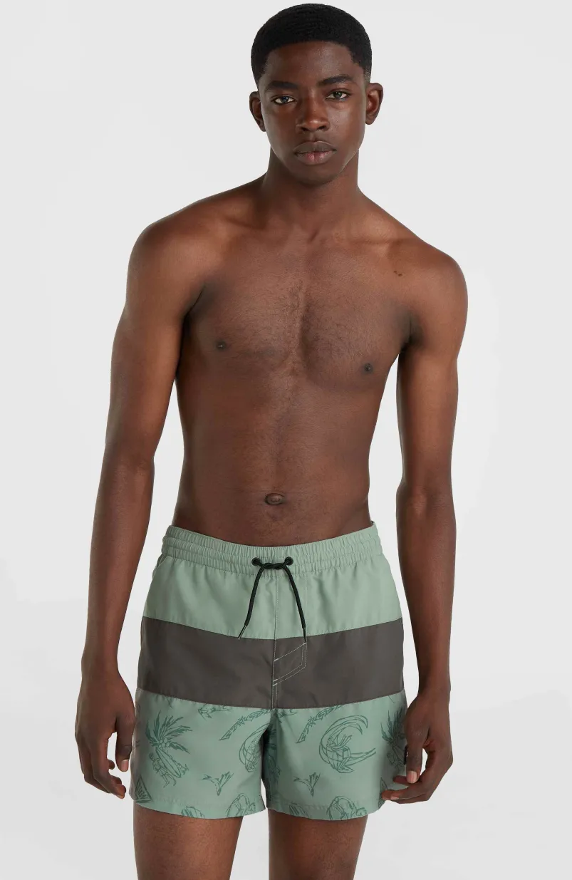 Mix And Match Cali Block 15" Zwembroek | Green Vintage Surfer