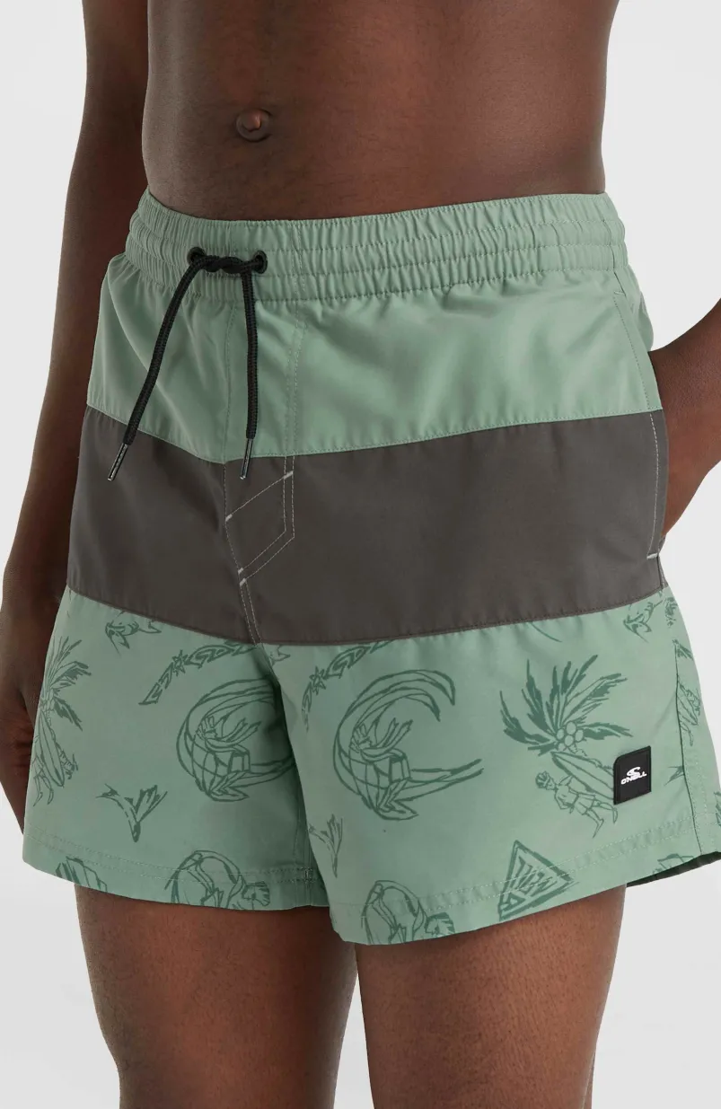 Mix And Match Cali Block 15" Zwembroek | Green Vintage Surfer