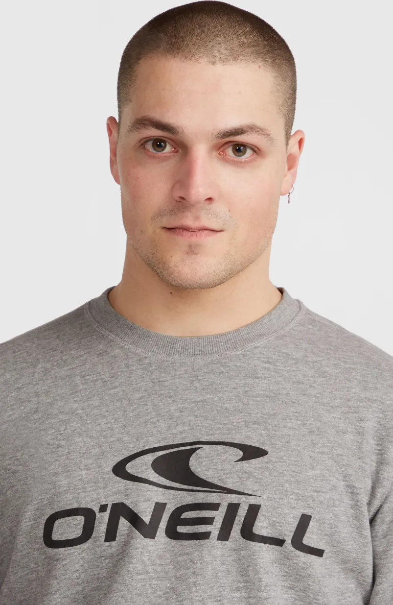 O'Neill Logo Crew Sweater | Silver Melee