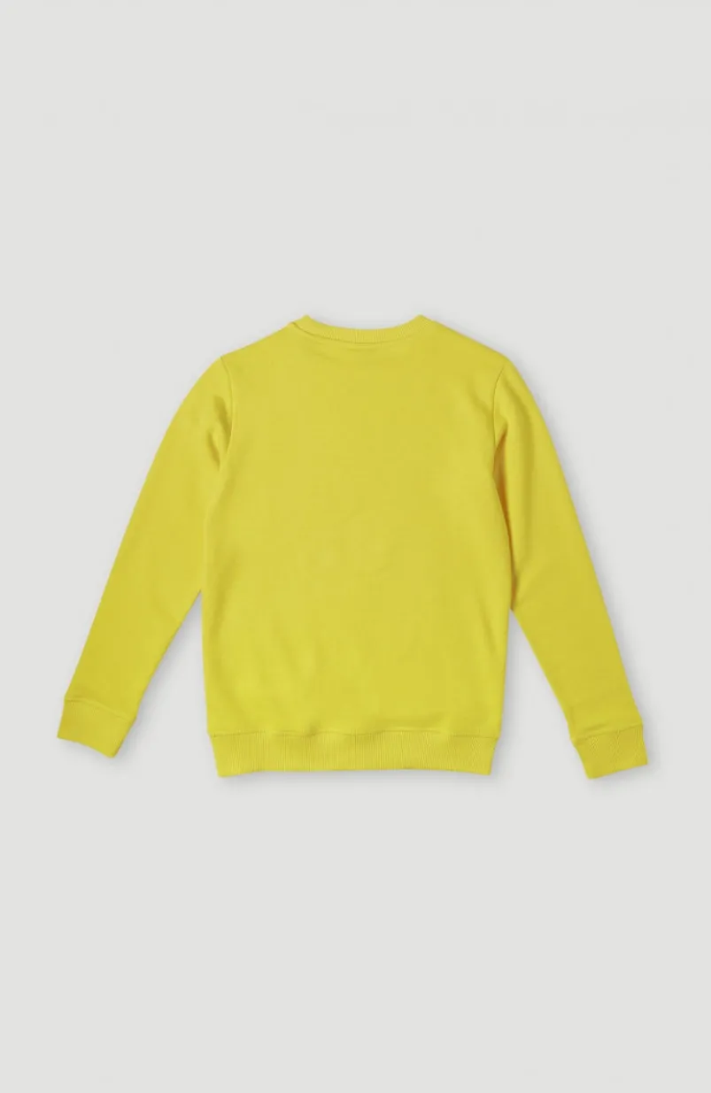 O'Neill Logo Crew Sweater | Empire Yellow