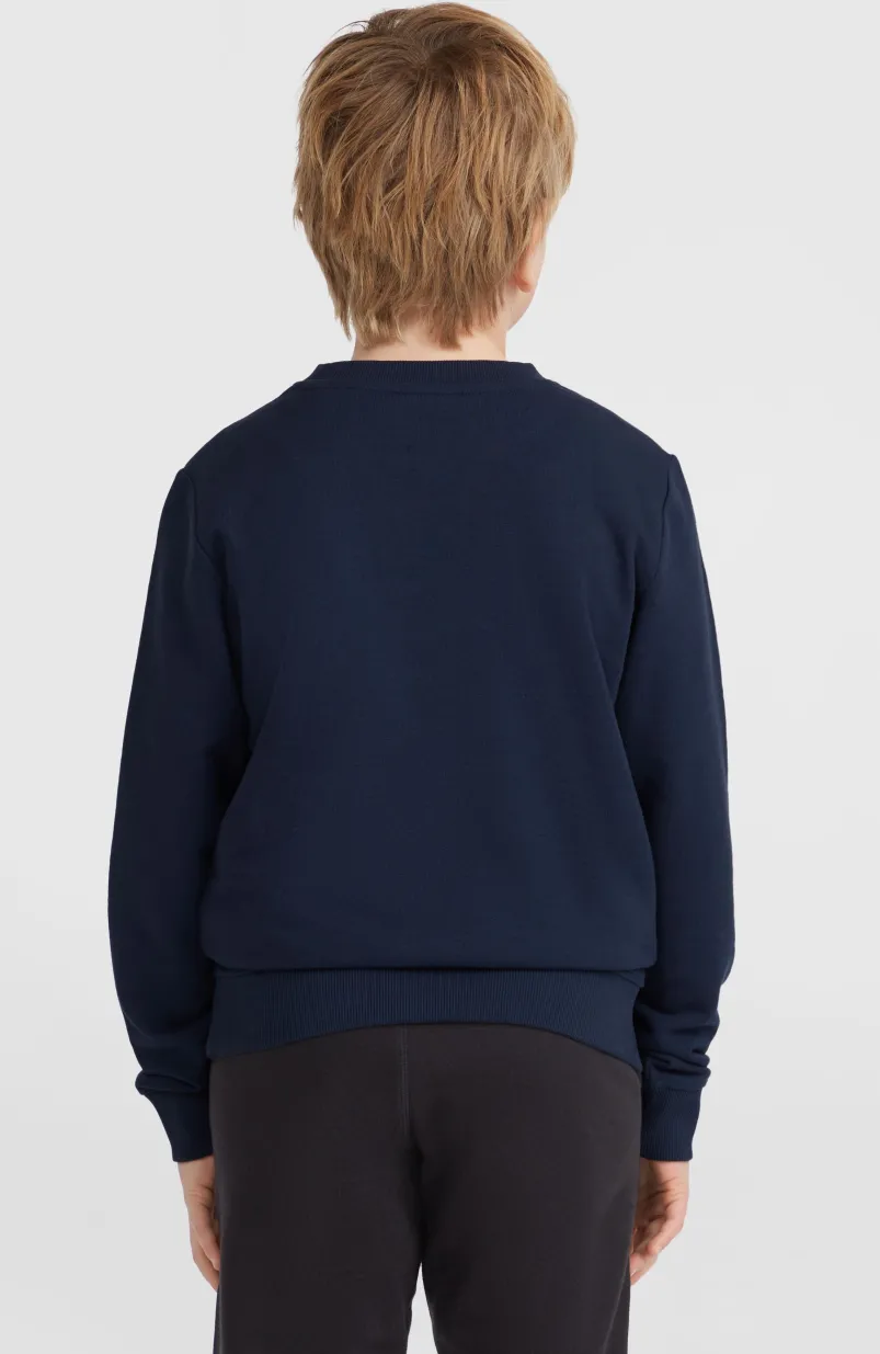 O'Neill Logo Crew Sweater | Ink Blue
