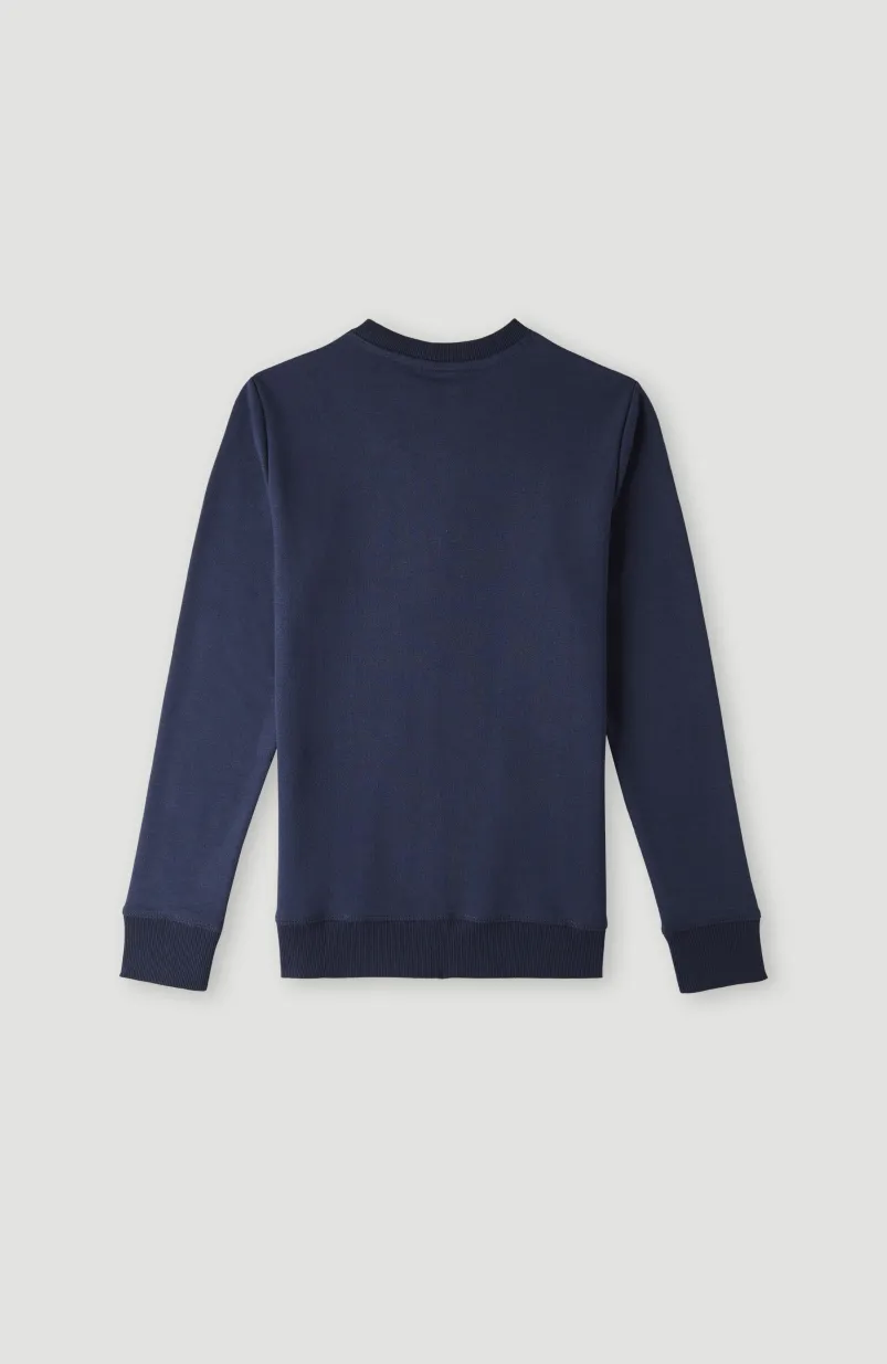 O'Neill Logo Crew Sweater | Ink Blue