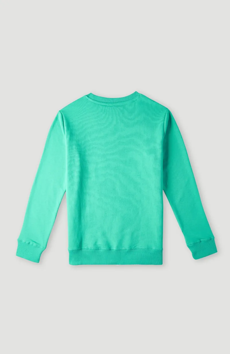 O'Neill Logo Crew Sweater | Sea Green