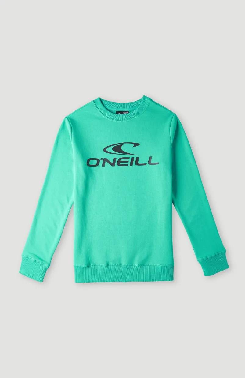 O'Neill Logo Crew Sweater | Sea Green