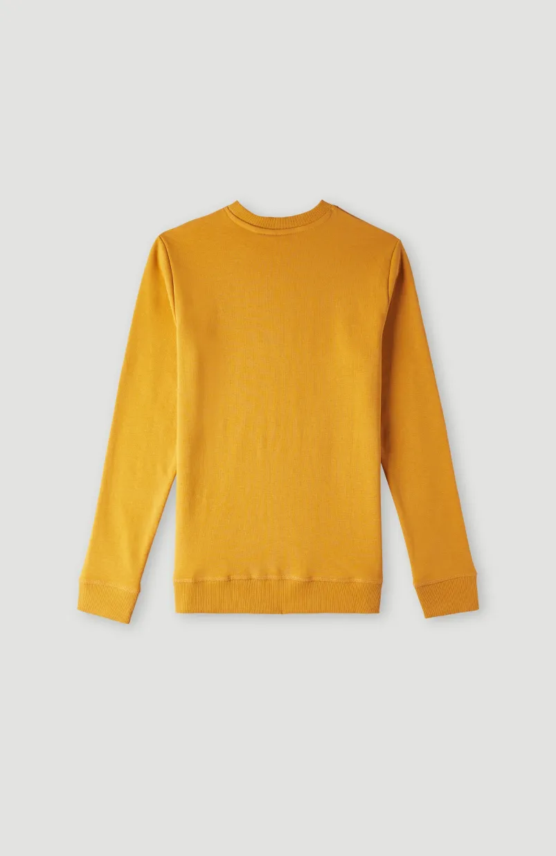 O'Neill Logo Crew Sweater | Nugget